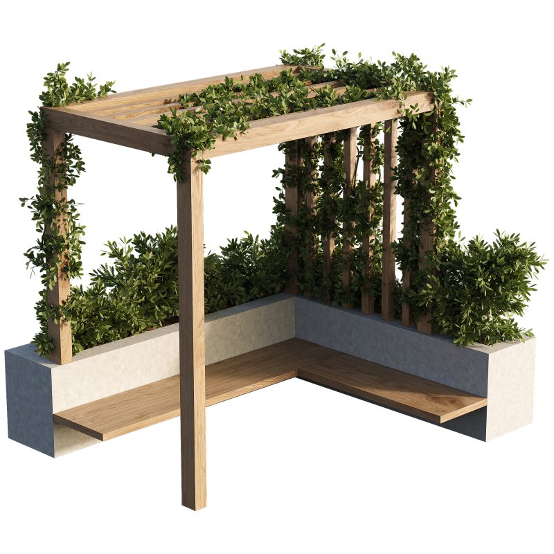 OutDoor plants – 3 Pergola plants set - Image 4