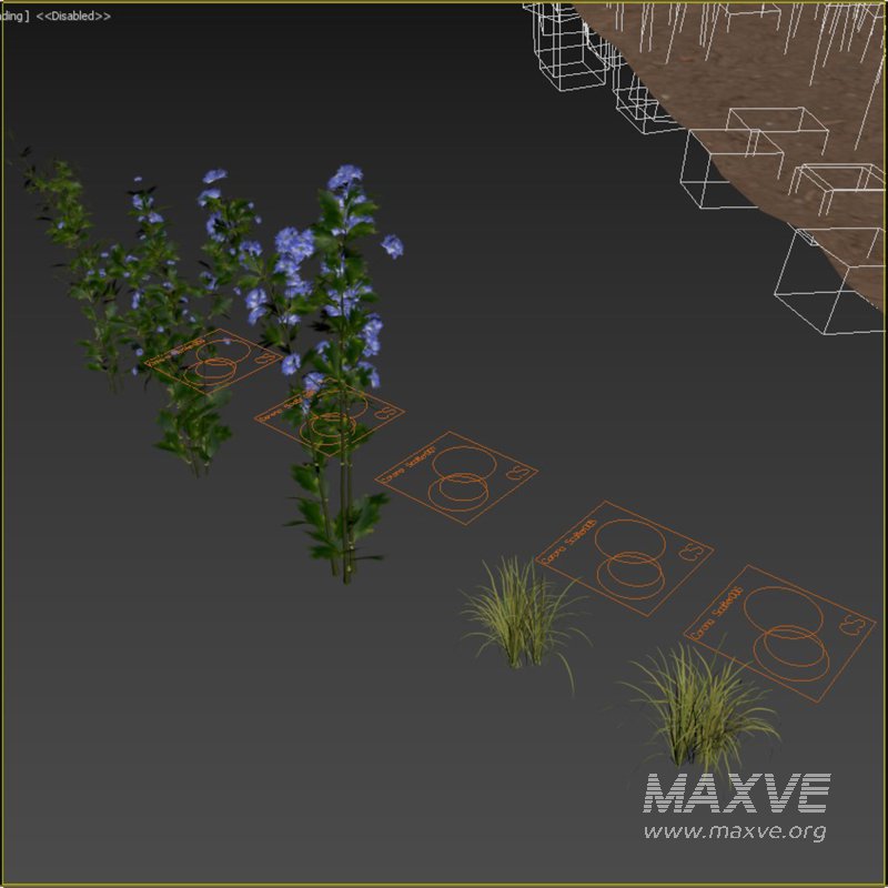 meadow (spring) - Image 1