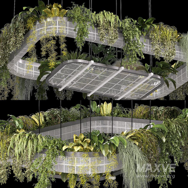 hanging indoor plants 02 - Image 1