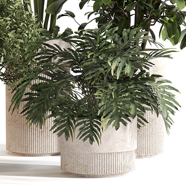 Indoor Plant Set 0154 - Image 4