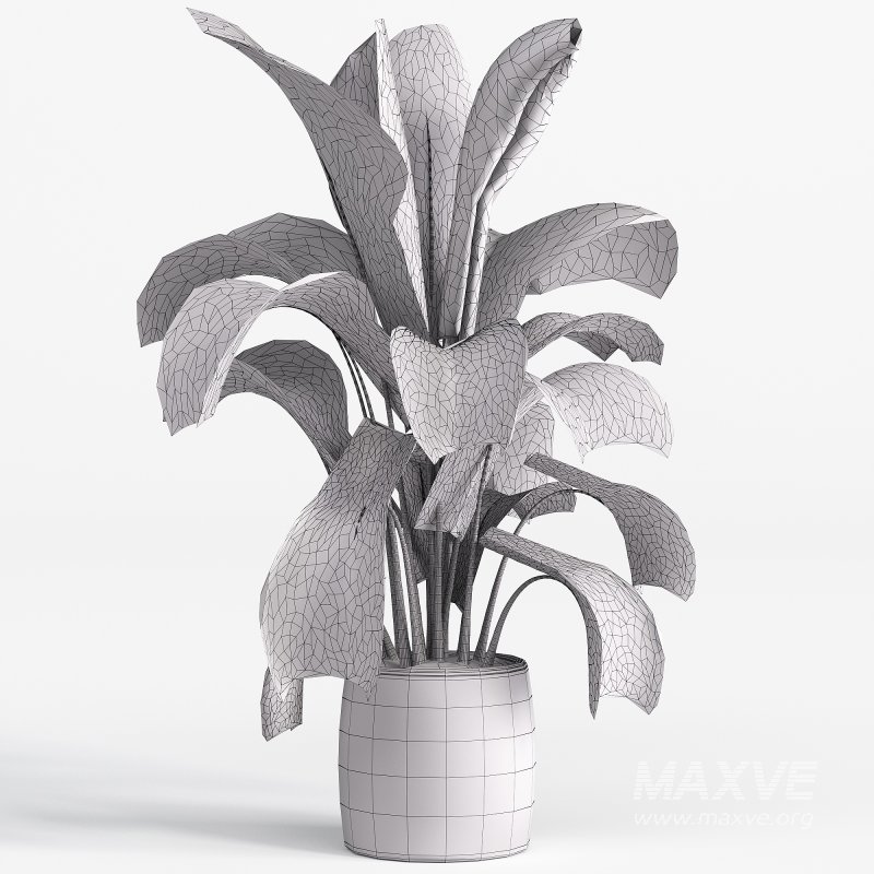 Indoor plant set 05 - Image 1
