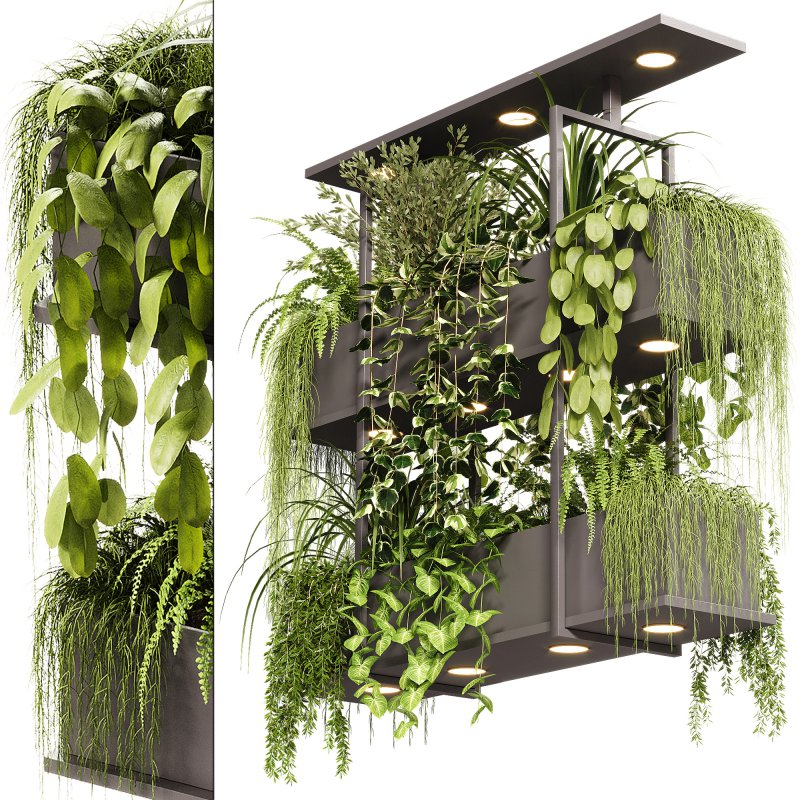 Indoor Plants – 23 Hanging plants - Image 8