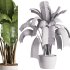 indoor plants – 38 plant in pot_corona - Thumbnail 2