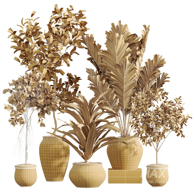 AV Indoor Plants Set 258 Olive Eucalyptus and Palm Paradise and Dracaena and Briful - Image 10