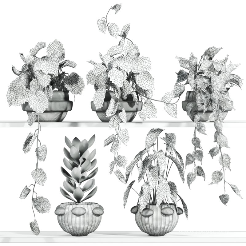 plants set - Image 3