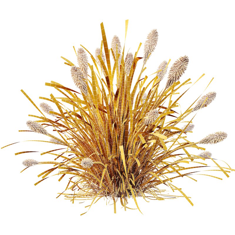 ntal grass native to moist meadows across Europe and western Asia. Its arching lime-yellow blades form dense mounds that shimmer in the light, offering a soft, flowing texture ideal for borders, ground covers, and contemporary garden compositions. - Image 9