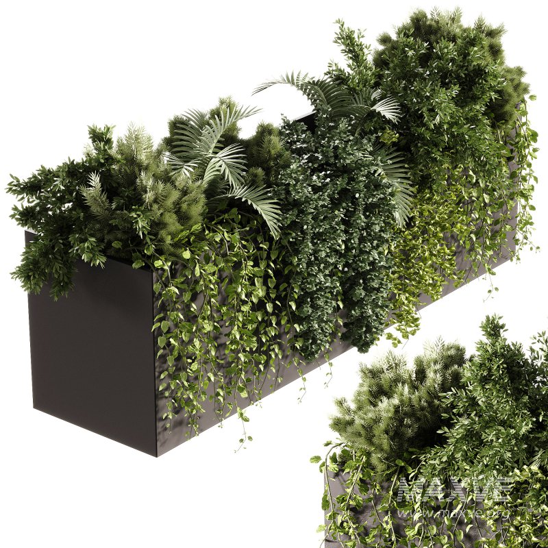 Indoor Plants – 24 Hanging plants - Image 1