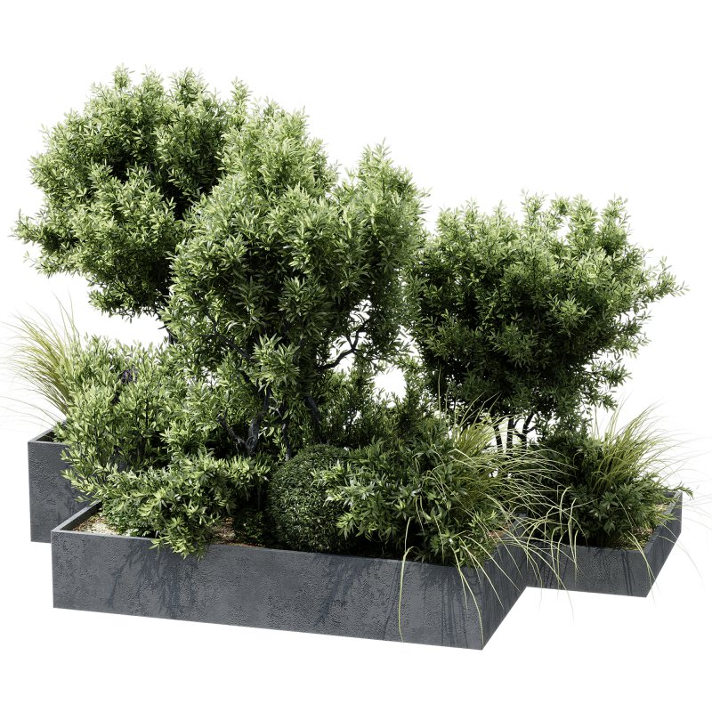 Outdoor plants 12 - Image 3