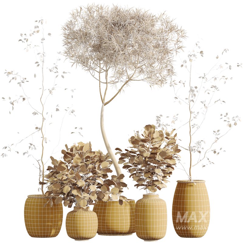 AV Indoor Plants Set 271 Japandi Ficus Dracaena Marginata and Foliage Dollar Authentic Eucalyptus Bouquet - Image 8