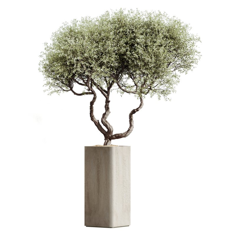 AV Indoor Plants Set 264 - Image 1