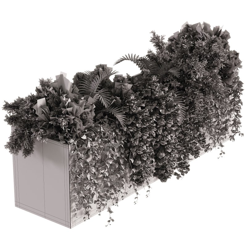 Indoor Plants – 24 Hanging plants - Image 3