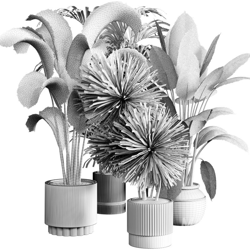 indoor plants 114 – plant collections in pot - Image 2