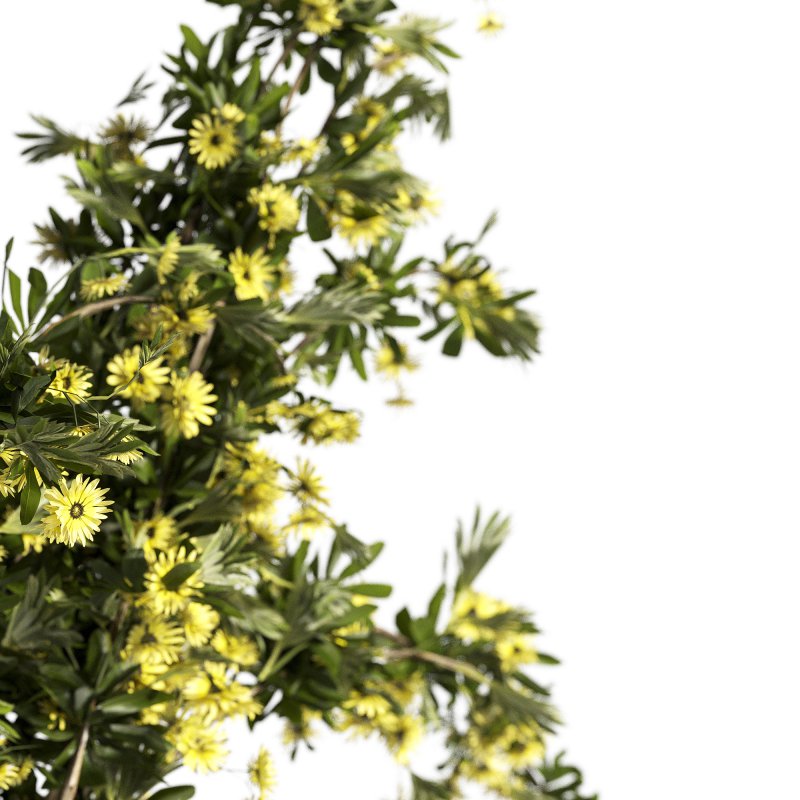 coolection Plants bouquet vase - Image 2