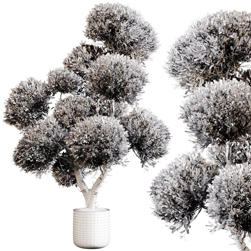 Indoor plants 75 – Plant in pot - Image 2