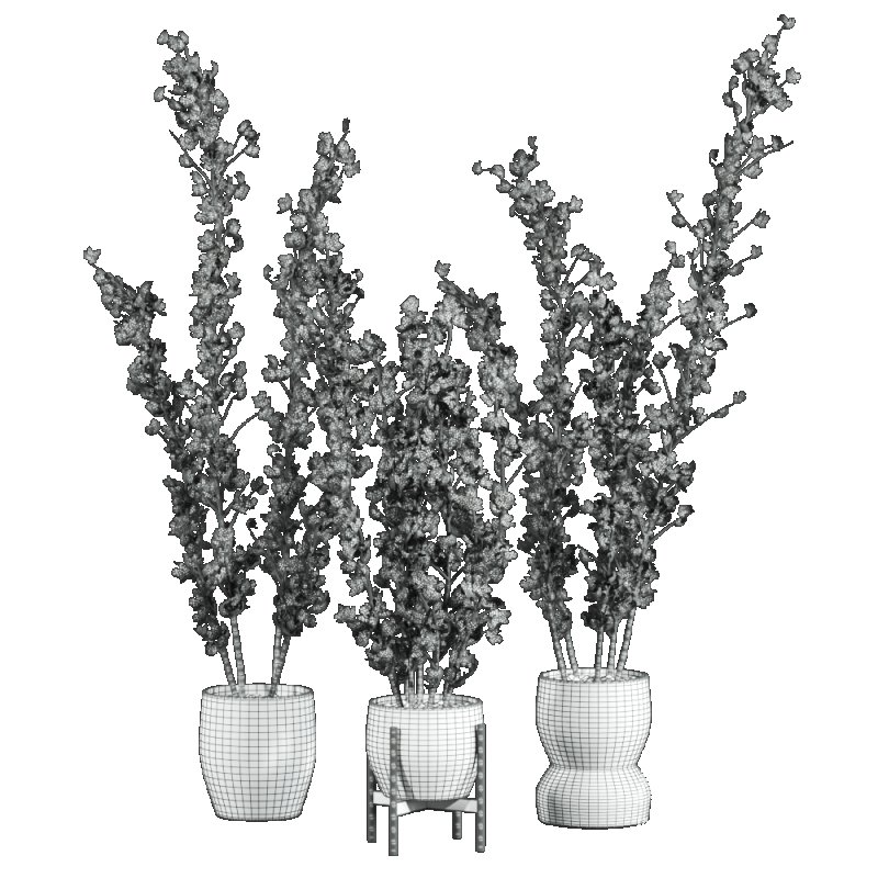 potted plants - Image 4