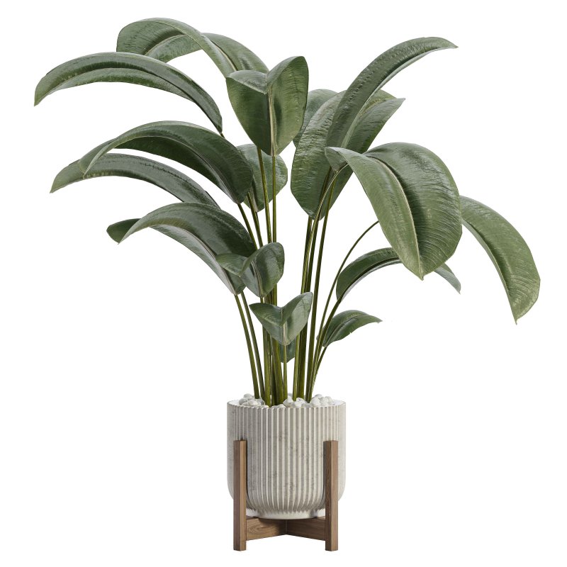Indoor Plant 02 - Image 1