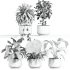 plants set on shelf - Thumbnail 2