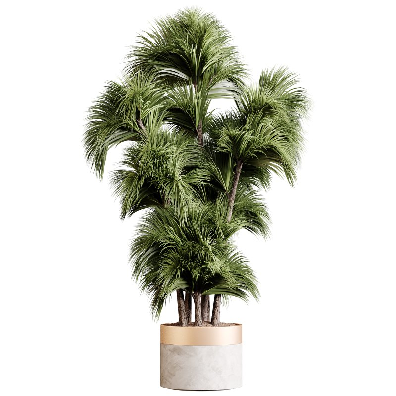 Indoor plants 86 – Plant in pot - Image 1
