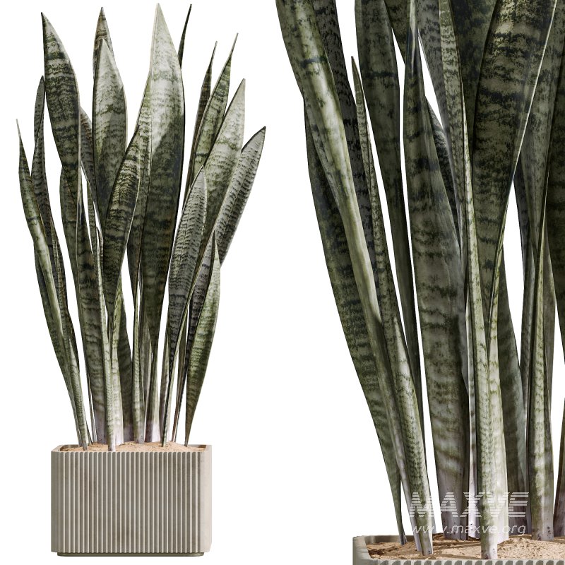 AV Indoor Plants Set 264 - Image 2