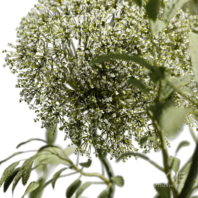 Decorative Bouquet set 19 - Image 2