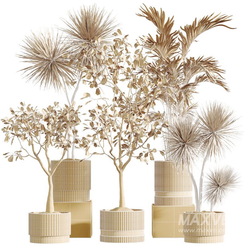 AV Indoor Plants Set 275 Mega Pack Yucca Areca Palm Japandi Ficus - Image 9