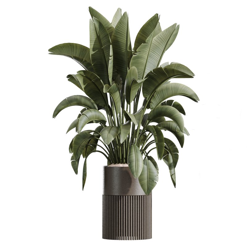 ntal value and botanical origin. Perfect for luxury interiors, modern lobbies, or minimalist environments, this set balances lush volume with sharp sculptural lines. - Image 3