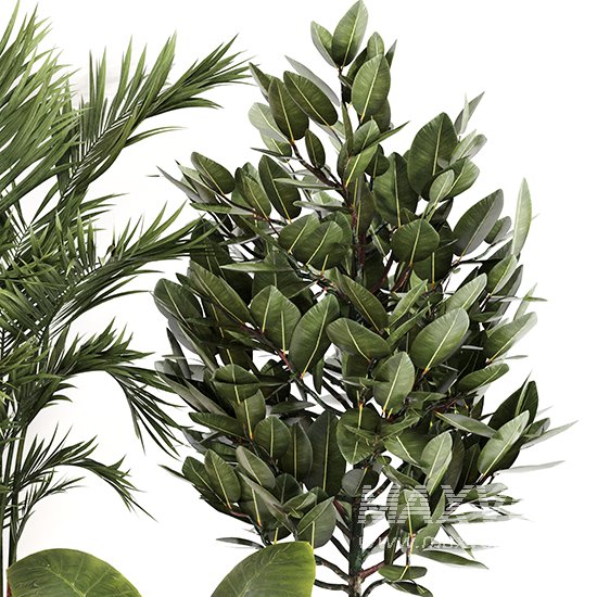 Indoor Plant Set 0157 - Image 4