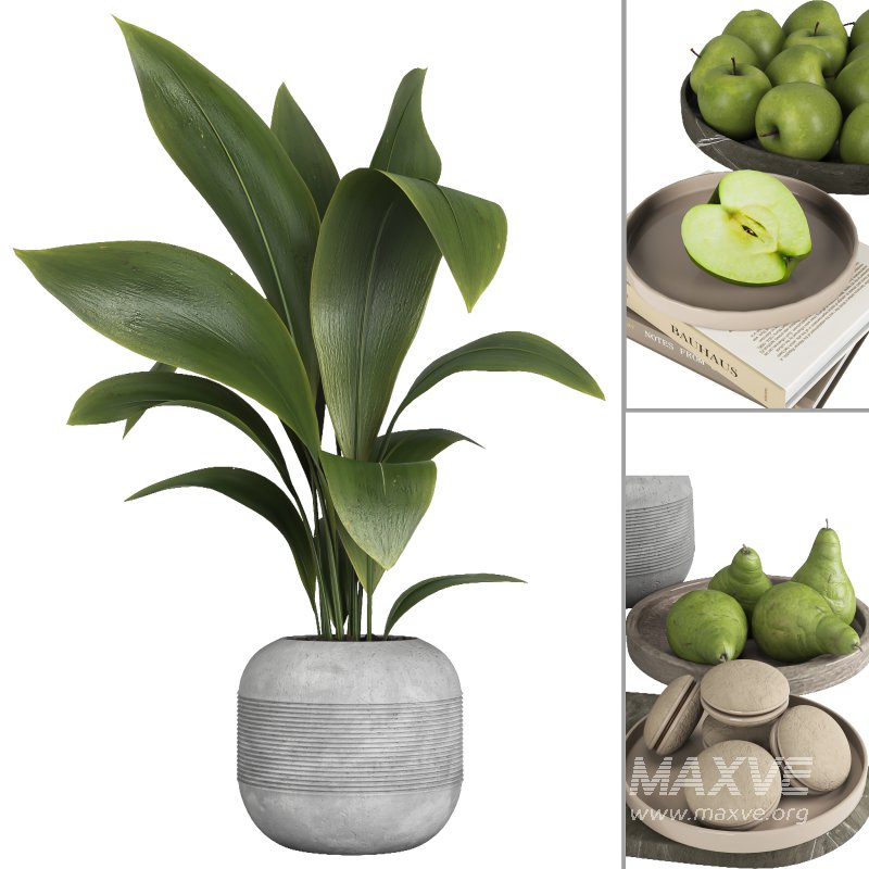 Decorative set 029 - Image 1