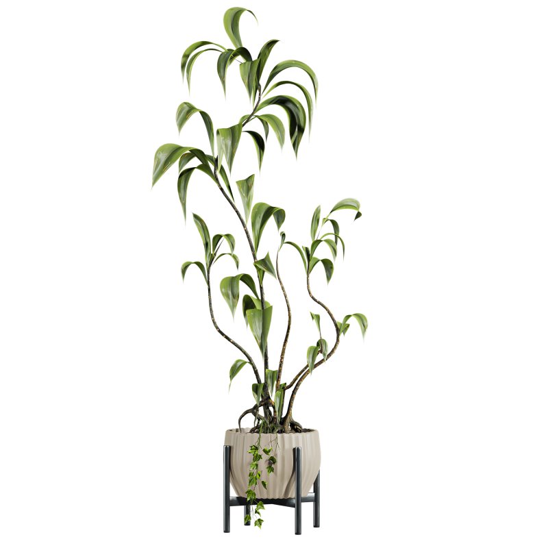 potted plant - Image 1