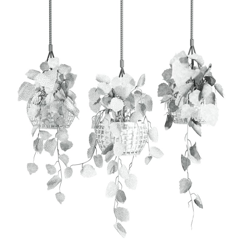 hanging plants set - Image 4