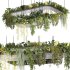 hanging indoor plants 02 - Thumbnail 6