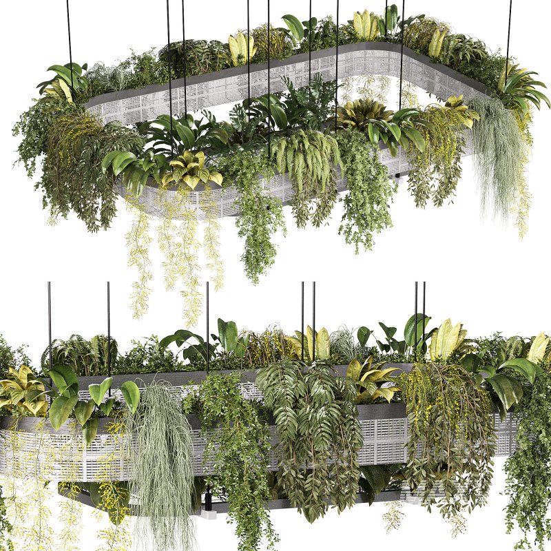 hanging indoor plants 02 - Image 6