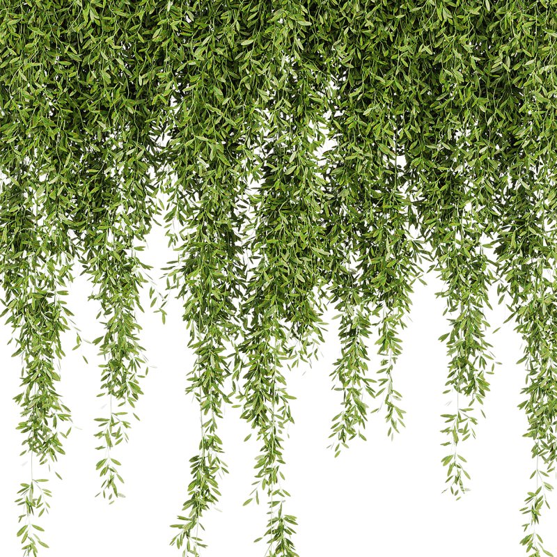 Indoor Plants – 21 hanging plants in pots - Image 1