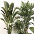 Indoor Plant Set 0157 - Thumbnail 2