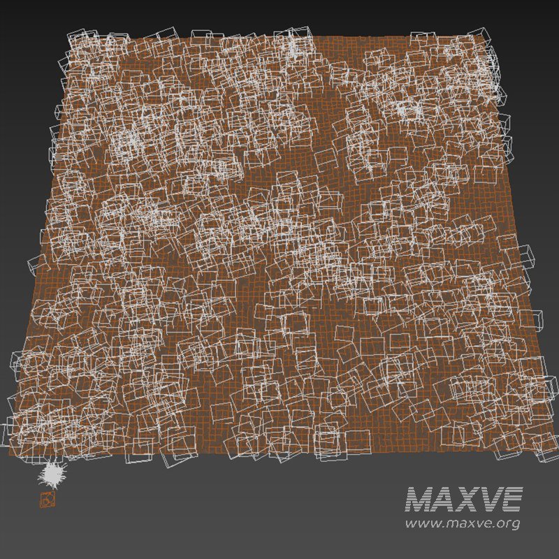 meadow (autumn) - Image 9