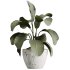 ntal plants. Each plant is placed in finely crafted marble-textured or ribbed pots, enhancing their modern, luxurious appeal. - Thumbnail 2