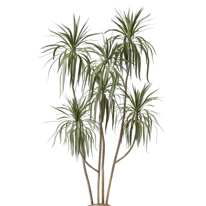 AV Indoor Plants Set 264 - Image 3