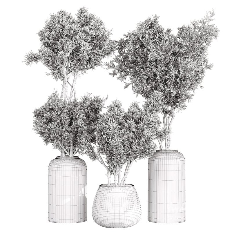 Indoor Collection plants 05 - Image 6