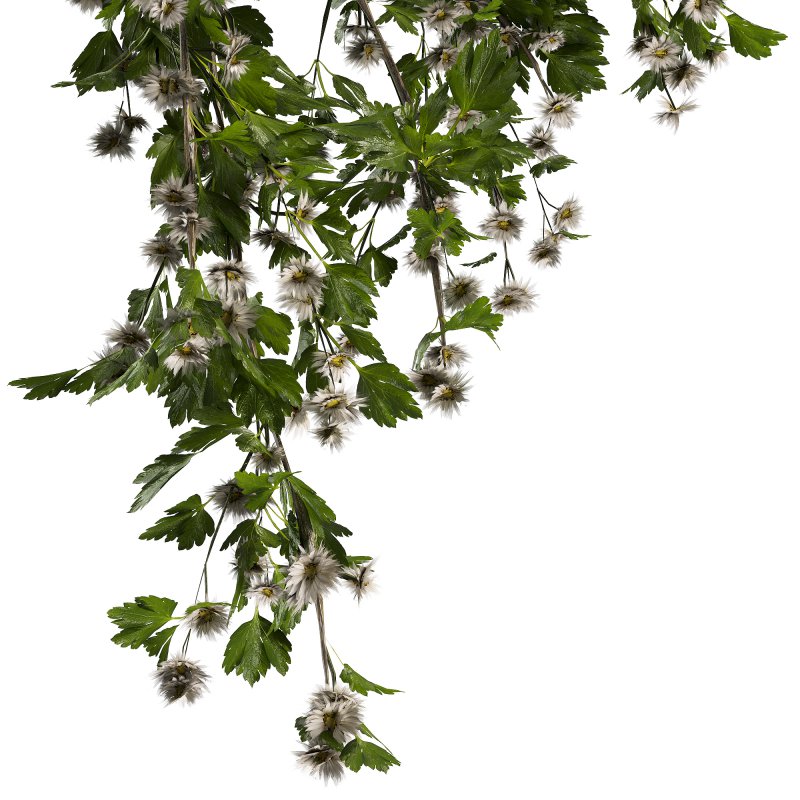 coolection Plants bouquet vase - Image 4