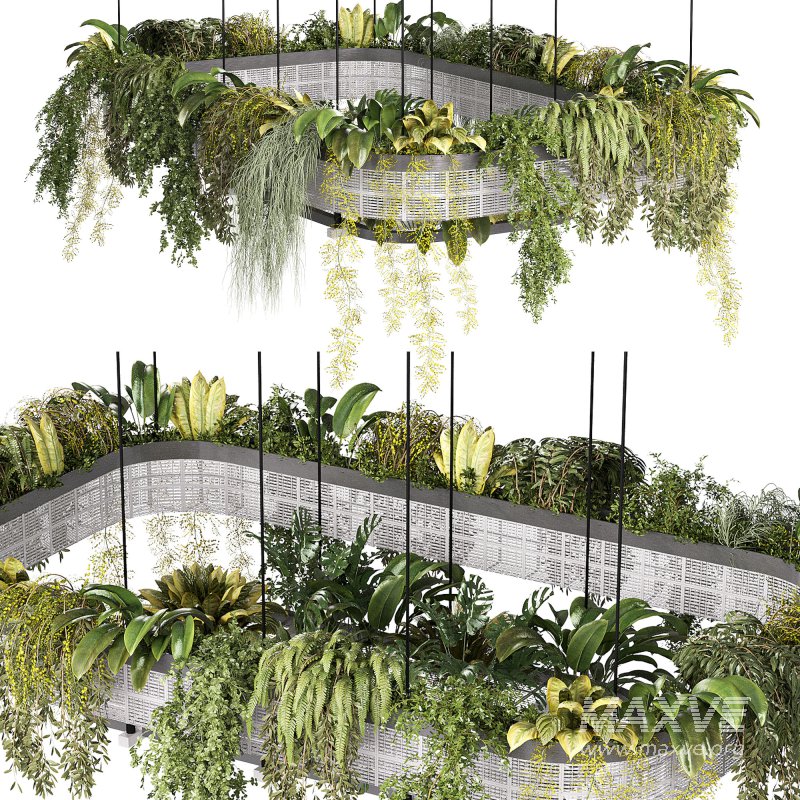 hanging indoor plants 02 - Image 2