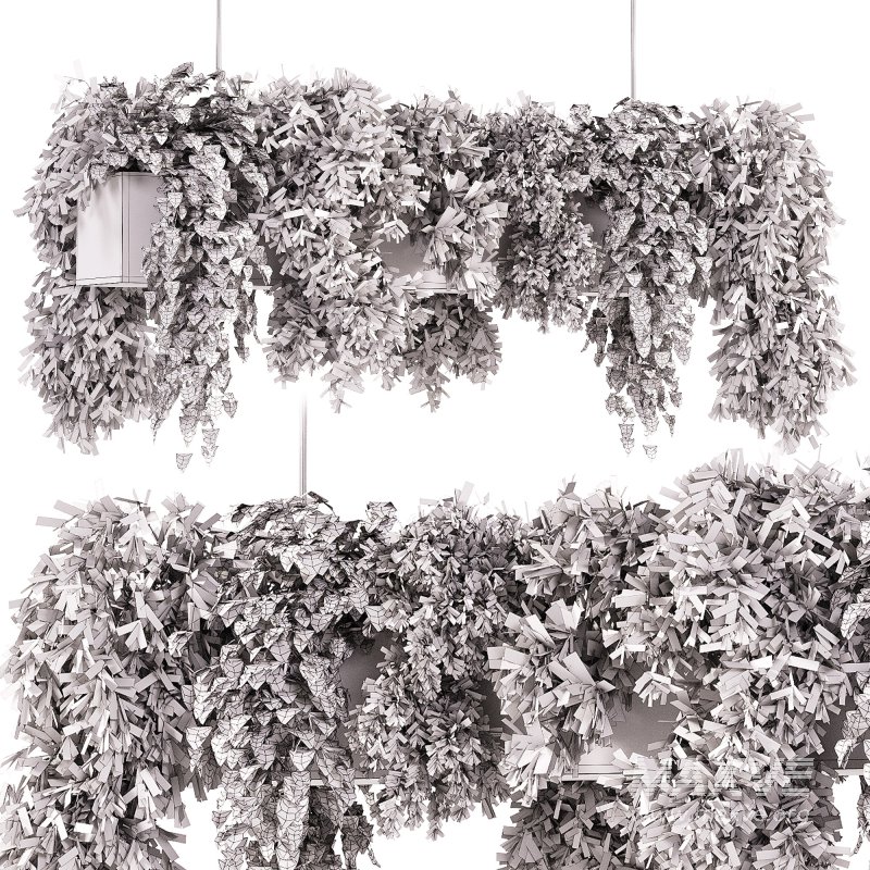 Indoor plants – 22 hanging indoor Plants - Image 6