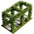 OutDoor plants – 4 Pergola plants set - Thumbnail 5