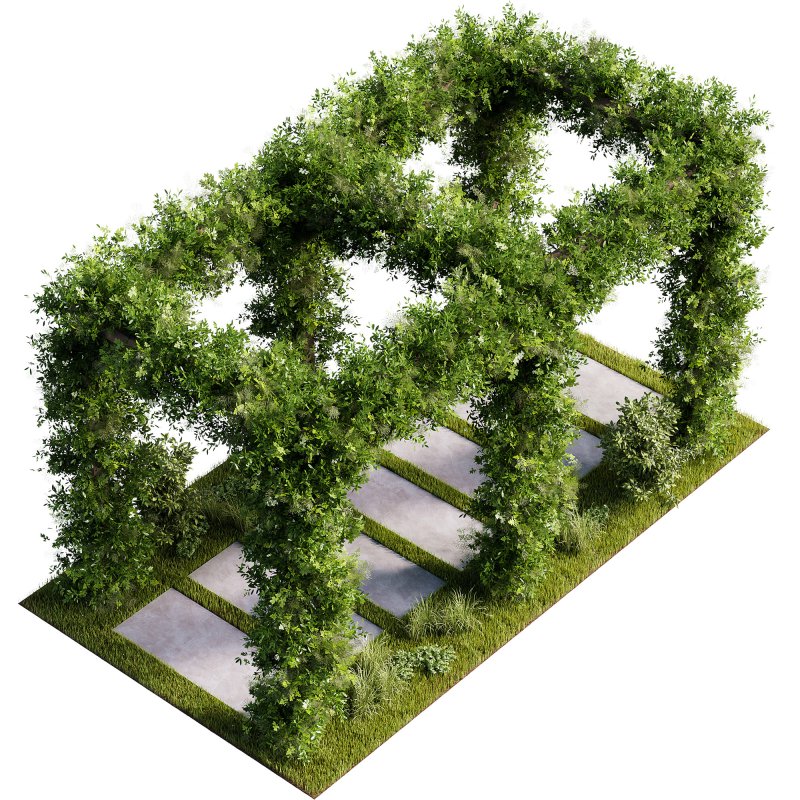 OutDoor plants – 4 Pergola plants set - Image 5