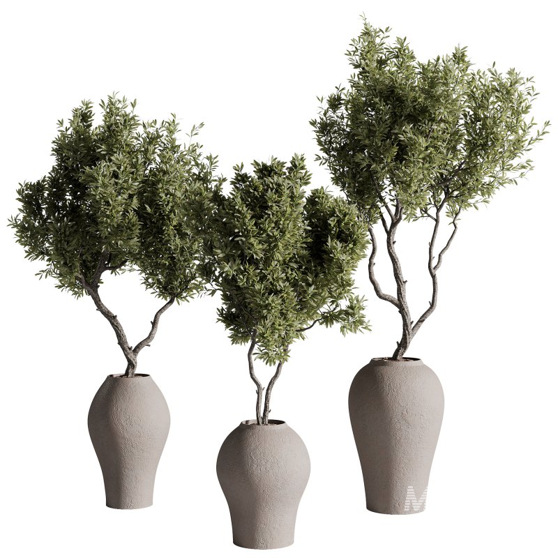 indoor plants – 68 plant in pot - Image 3