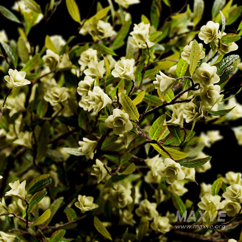 Decorative Bouquet set 24 - Image 4