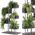 indoor plants – 53 Plant Stand - Thumbnail 2