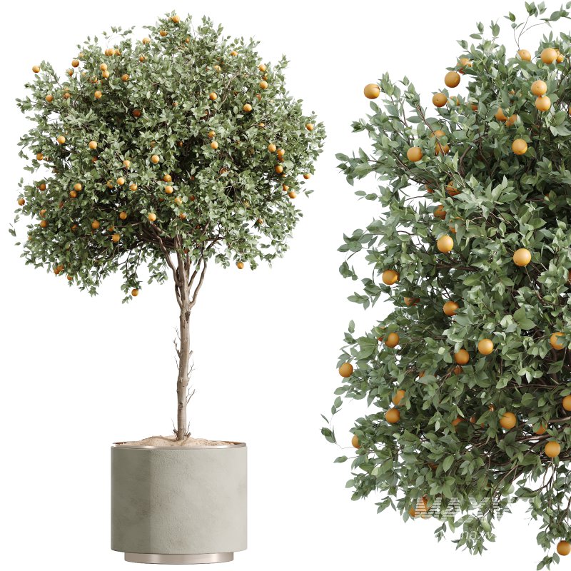 AV Indoor Plants Set 249 - Image 5