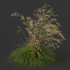ntal grass set combines two iconic and highly architectural species known for their graceful movement and seasonal texture. - Thumbnail 5