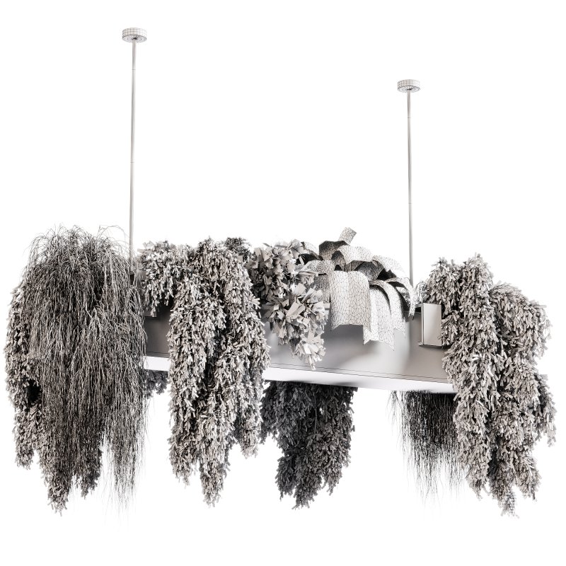 indoor plants 103- Hanging indoor plant - Image 2