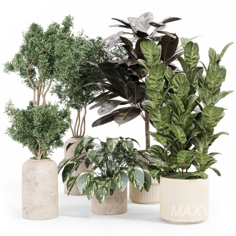 Indoor_plant_set_with_plant_tree_concrete_dirt_vase - Image 5